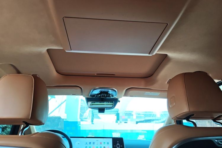 Used Wey Gaoshan 2023 Four-Wheel Drive Flagship Edition Headliner