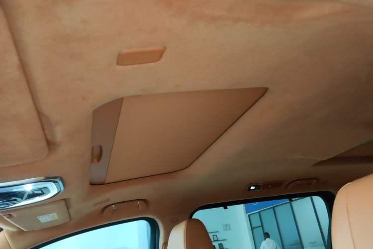 Used Wey Gaoshan 2023 Four-Wheel Drive Flagship Edition Headliner