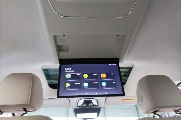 Used Wey Gaoshan 2023 Four-Wheel Drive Flagship Edition Headliner