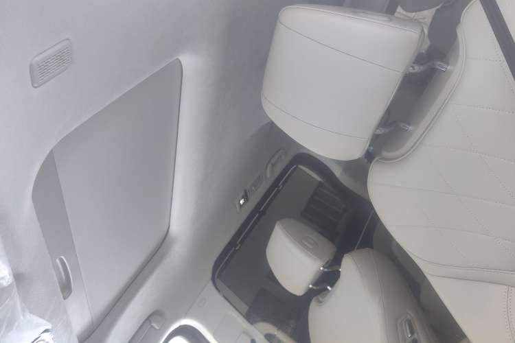 Used Wey Gaoshan 2023 Four-Wheel Drive Flagship Edition Headliner