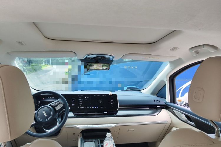 Used Wey Gaoshan 2023 Four-Wheel-Drive Executive Extended Version Headliner
