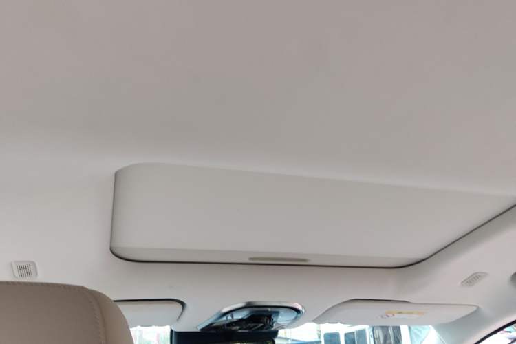 Used Wey Gaoshan 2023 Four-Wheel Drive Flagship Edition Headliner