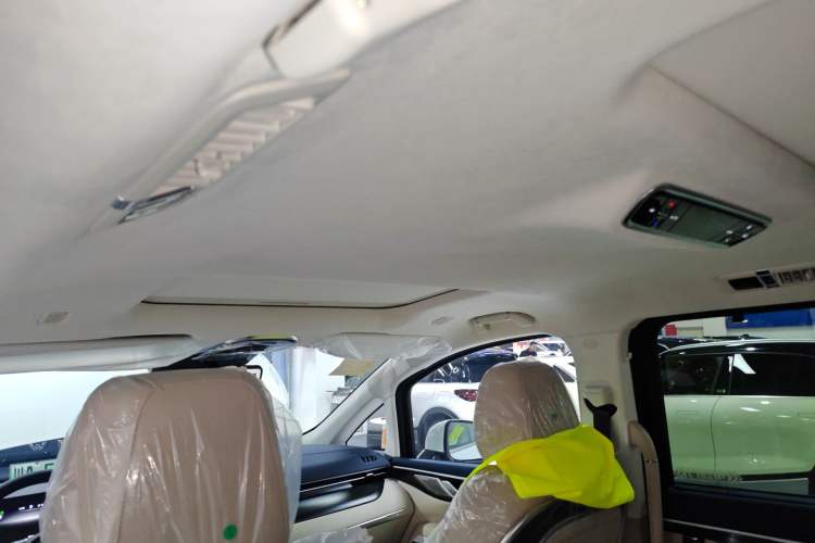 Used Wey Gaoshan 2023 Four-Wheel Drive Flagship Edition Headliner