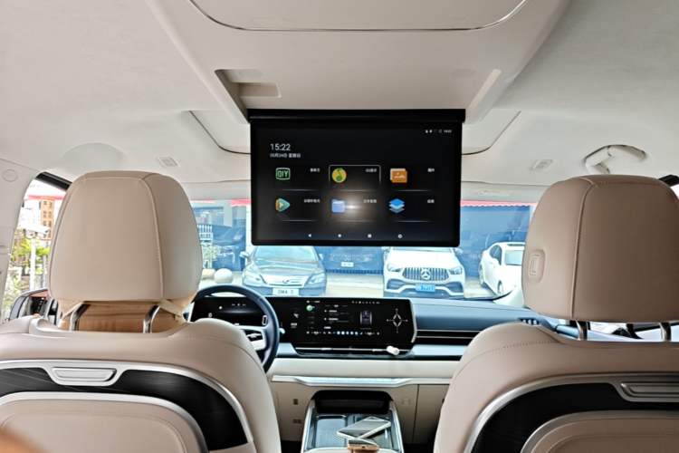 Used Wey Gaoshan 2023 Four-Wheel Drive Flagship Edition Headliner