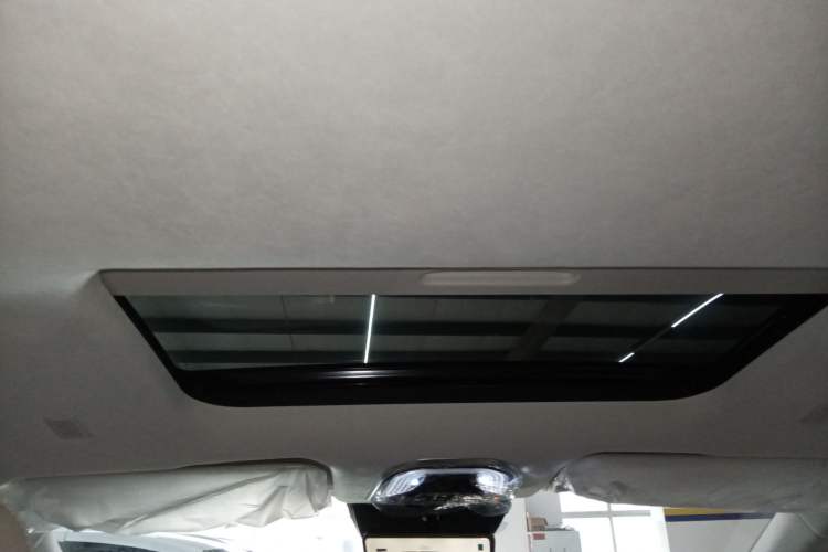 Used Wey Gaoshan 2023 Four-Wheel Drive Flagship Edition Headliner