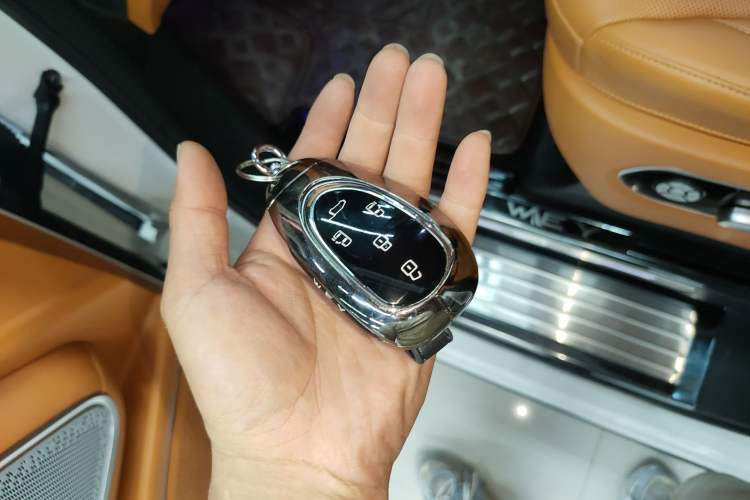 Used Wey Gaoshan 2023 Four-Wheel Drive Flagship Edition Interior 1