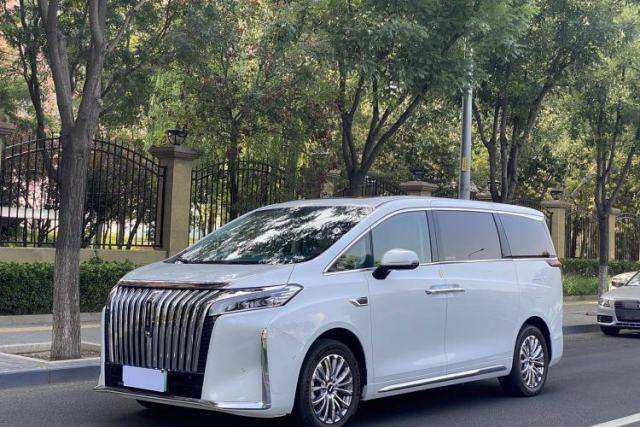 Used Wey Gaoshan 2023 Four-Wheel Drive Flagship Edition
