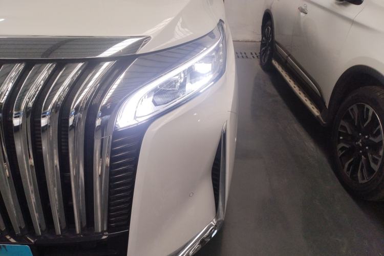 Used Wey Gaoshan 2023 Four-Wheel Drive Flagship Edition Left Front Headlight