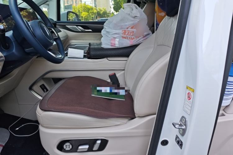 Used Wey Gaoshan 2023 Four-Wheel Drive Flagship Edition Left Front Seat