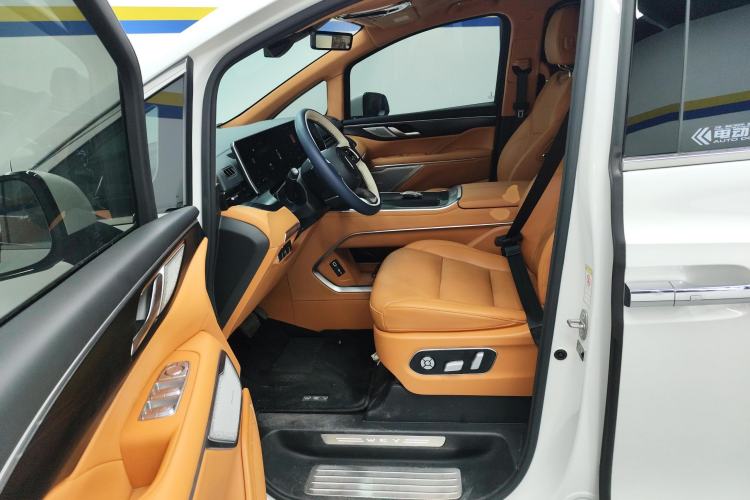 Used Wey Gaoshan 2023 Four-Wheel Drive Flagship Edition Left Front Seat