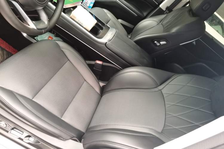 Used Wey Gaoshan 2023 Four-Wheel Drive Flagship Edition Left Front Seat
