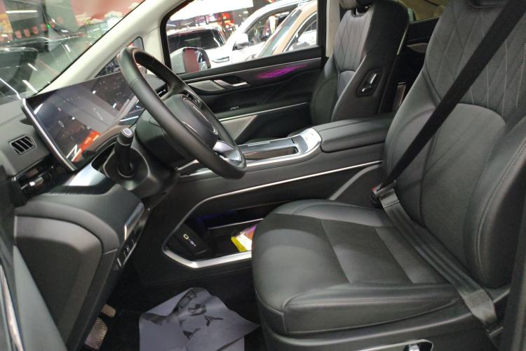 Used Wey Gaoshan 2023 Four-Wheel Drive Flagship Edition Left Front Seat