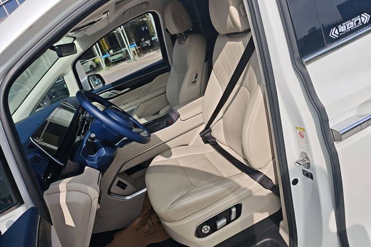 Used Wey Gaoshan 2023 Four-Wheel Drive Flagship Edition Left Front Seat