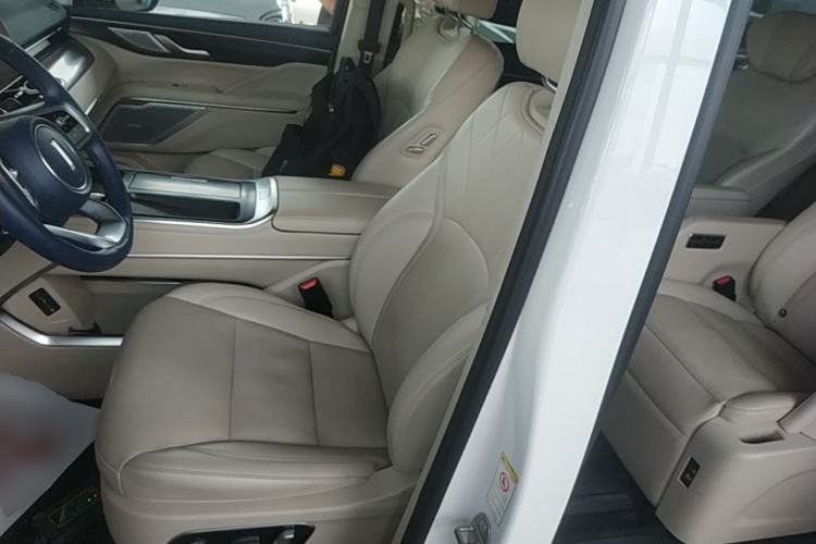 Used Wey Gaoshan 2023 Four-Wheel Drive Flagship Edition Left Front Seat