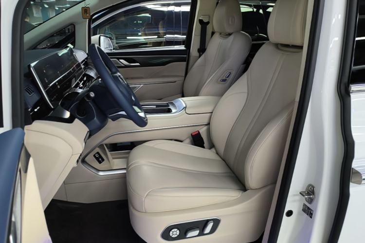 Used Wey Gaoshan 2023 Four-Wheel-Drive Executive Extended Version Left Front Seat