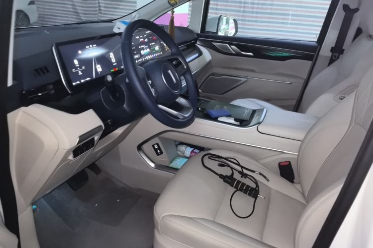 Used Wey Gaoshan 2023 Four-Wheel Drive Flagship Edition Left Front Seat