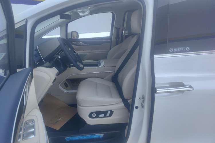 Used Wey Gaoshan 2023 Four-Wheel Drive Flagship Edition Left Front Seat