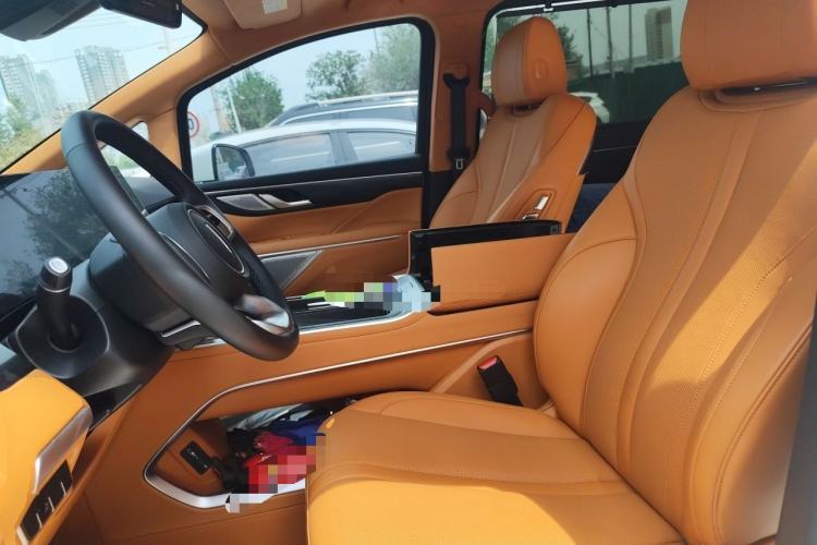 Used Wey Gaoshan 2023 Four-Wheel-Drive Executive Extended Version Left Front Seat