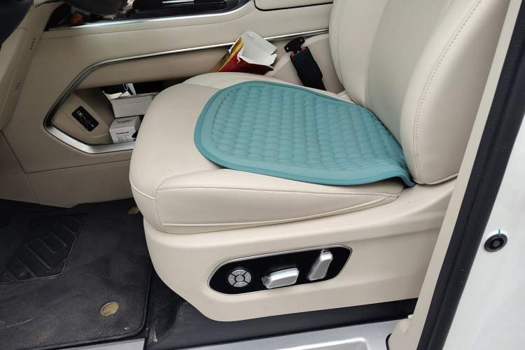 Used Wey Gaoshan 2023 Four-Wheel Drive Flagship Edition Left Front Seat