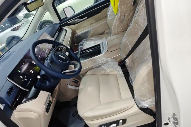 Used Wey Gaoshan 2023 Four-Wheel Drive Flagship Edition Left Front Seat