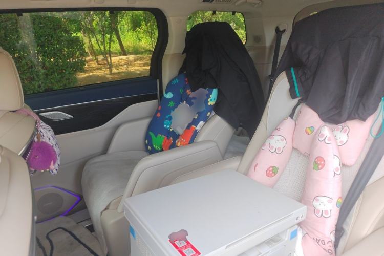 Used Wey Gaoshan 2023 Four-Wheel Drive Flagship Edition Left Rear Seat