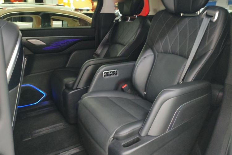 Used Wey Gaoshan 2023 Four-Wheel Drive Flagship Edition Left Rear Seat