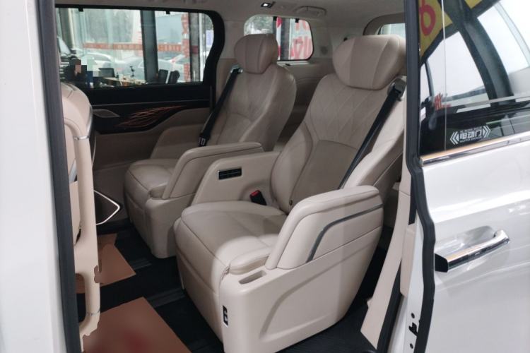 Used Wey Gaoshan 2023 Four-Wheel Drive Flagship Edition Left Rear Seat