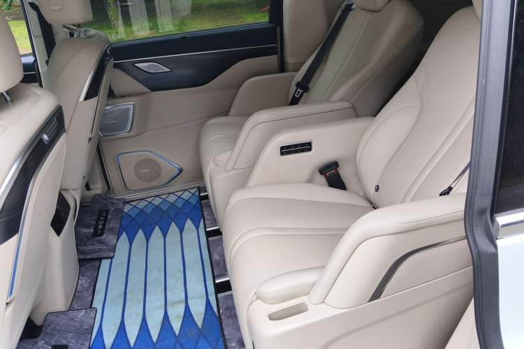 Used Wey Gaoshan 2023 Four-Wheel-Drive Executive Extended Version Left Rear Seat