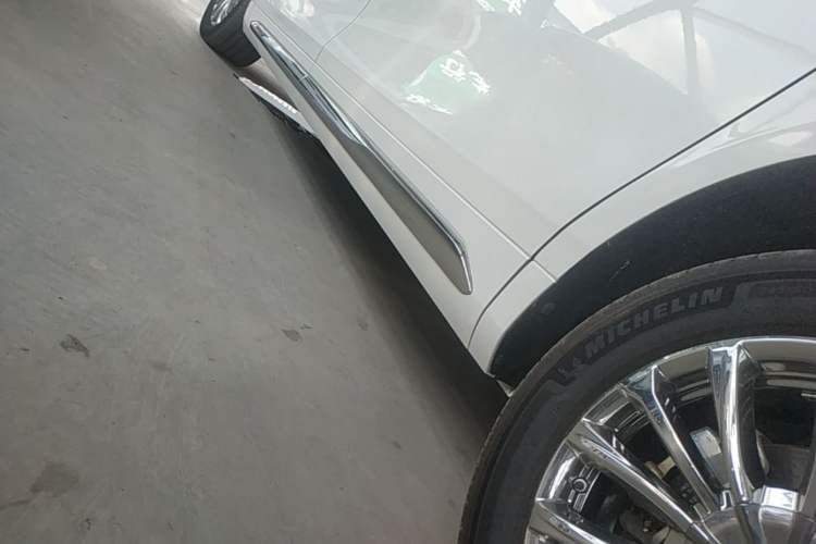 Used Wey Gaoshan 2023 Four-Wheel Drive Flagship Edition Left Side Sill