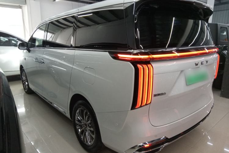 Used Wey Gaoshan 2023 Four-Wheel Drive Flagship Edition Left Side