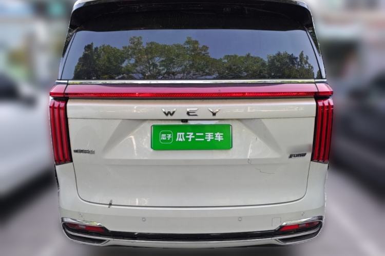 Used Wey Gaoshan 2023 Four-Wheel Drive Flagship Edition Rear