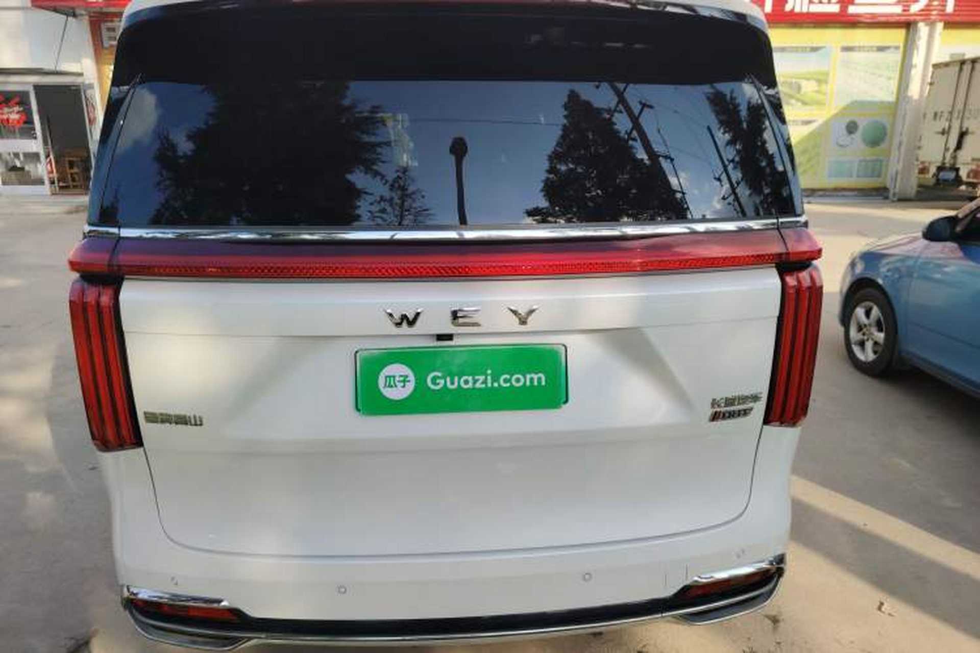 Used Wey Gaoshan 2023 Four-Wheel Drive Flagship Edition Rear