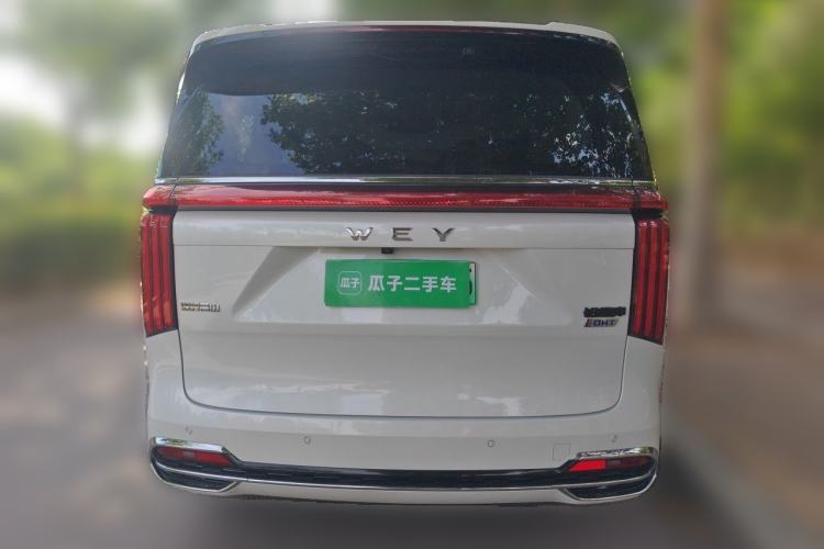 Used Wey Gaoshan 2023 Four-Wheel Drive Flagship Edition Rear