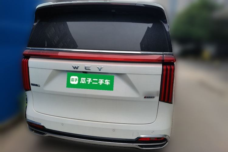 Used Wey Gaoshan 2023 Four-Wheel Drive Flagship Edition Rear