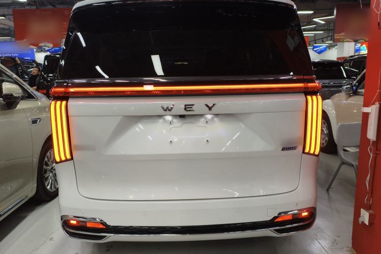 Used Wey Gaoshan 2023 Four-Wheel Drive Flagship Edition Rear