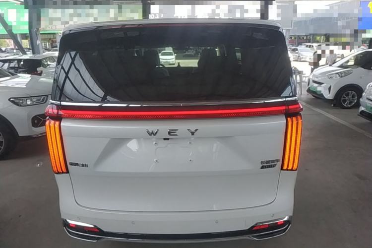 Used Wey Gaoshan 2023 Four-Wheel Drive Flagship Edition Rear