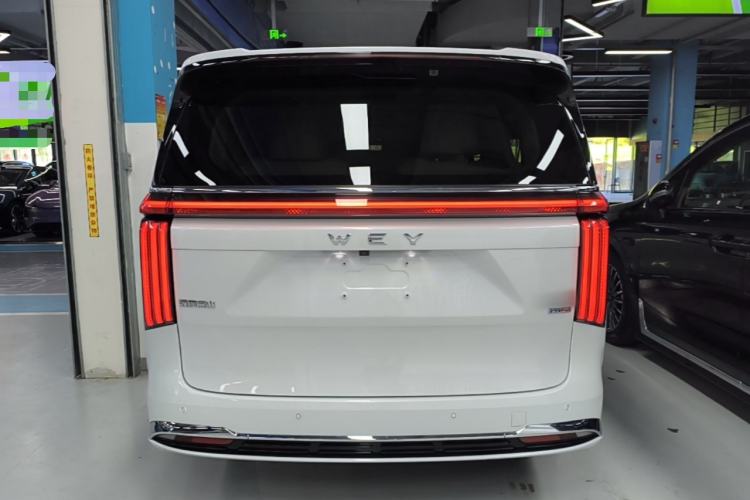 Used Wey Gaoshan 2023 Four-Wheel-Drive Executive Extended Version Rear