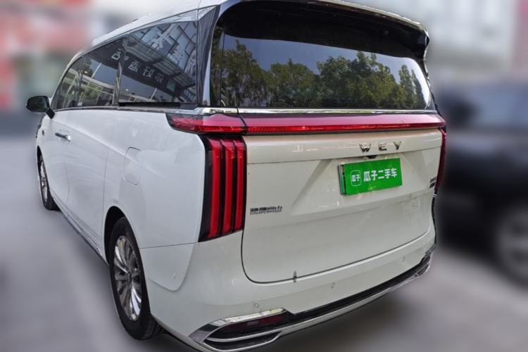 Used Wey Gaoshan 2023 Four-Wheel Drive Flagship Edition Rear Left 45 Deg