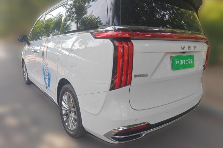 Used Wey Gaoshan 2023 Four-Wheel Drive Flagship Edition Rear Left 45 Deg