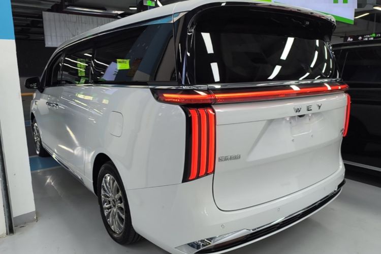 Used Wey Gaoshan 2023 Four-Wheel-Drive Executive Extended Version Rear Left 45 Deg
