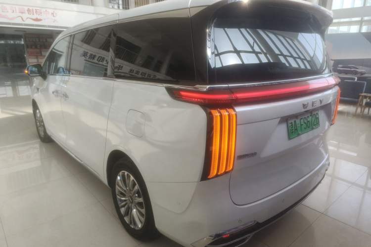 Used Wey Gaoshan 2023 Four-Wheel Drive Flagship Edition Rear Left 45 Deg