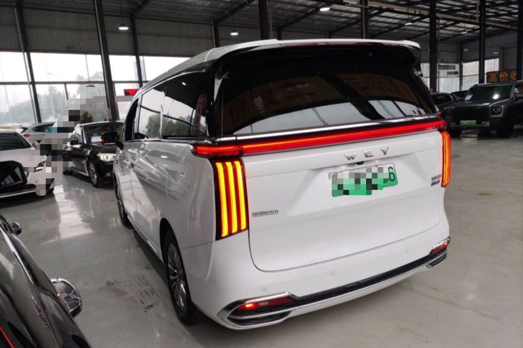 Used Wey Gaoshan 2023 Four-Wheel Drive Flagship Edition Rear Left 45 Deg