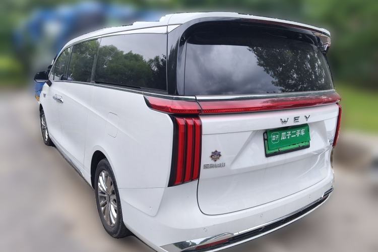 Used Wey Gaoshan 2023 Four-Wheel-Drive Executive Extended Version Rear Left 45 Deg