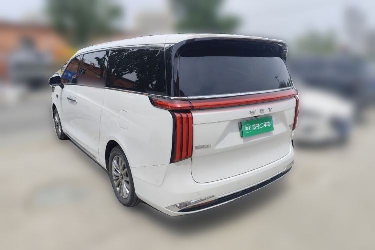 Used Wey Gaoshan 2023 Four-Wheel-Drive Executive Extended Version Rear Left 45 Deg