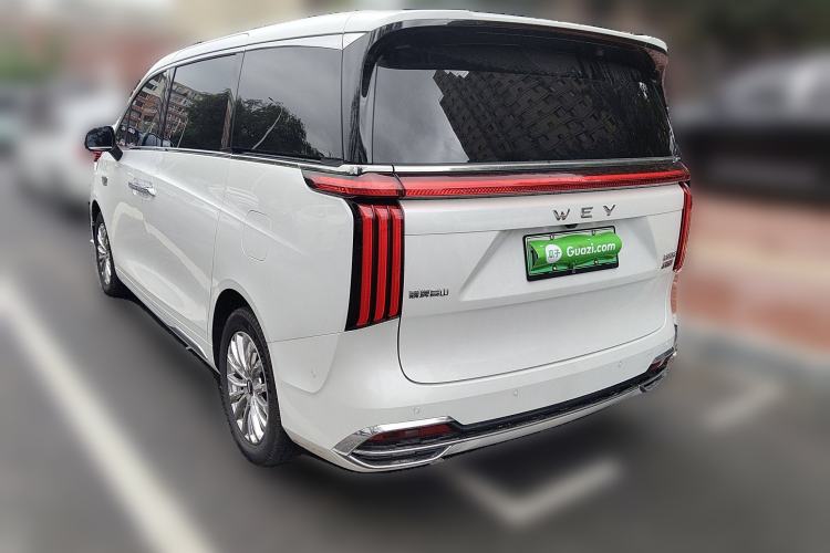 Used Wey Gaoshan 2023 Four-Wheel Drive Flagship Edition Rear Left 45 Deg