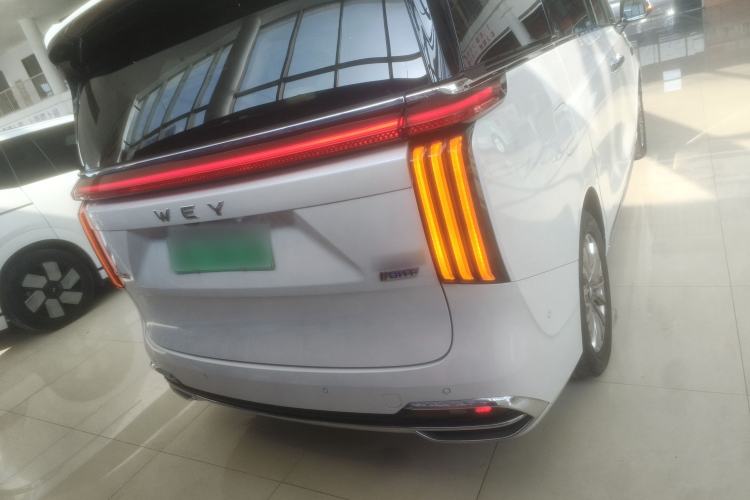 Used Wey Gaoshan 2023 Four-Wheel Drive Flagship Edition Rear