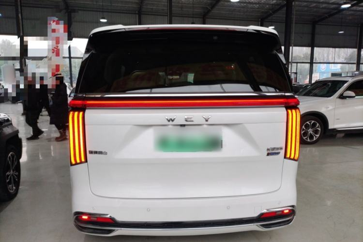 Used Wey Gaoshan 2023 Four-Wheel Drive Flagship Edition Rear