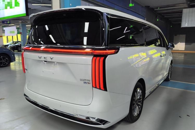 Used Wey Gaoshan 2023 Four-Wheel-Drive Executive Extended Version Rear Right 45 Deg