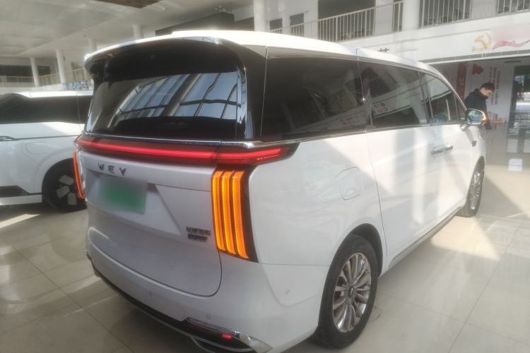 Used Wey Gaoshan 2023 Four-Wheel Drive Flagship Edition Rear Right 45 Deg
