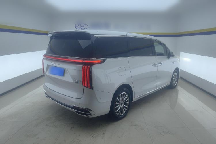 Used Wey Gaoshan 2023 Four-Wheel Drive Flagship Edition Rear Right 45 Deg